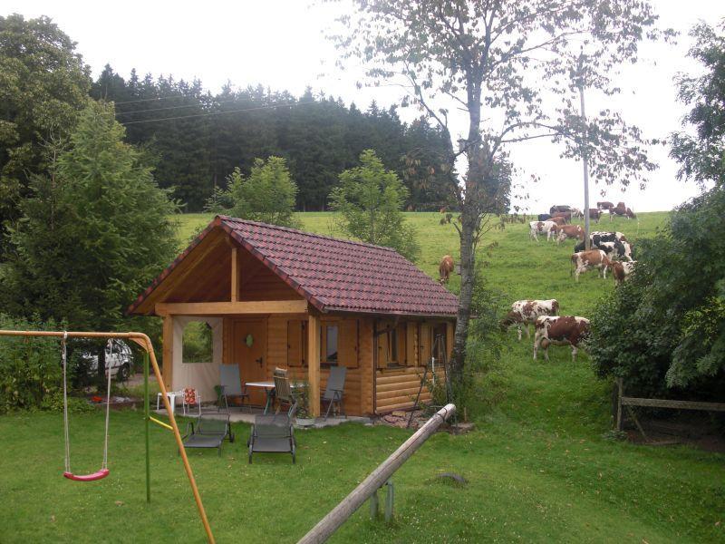 Willmannshof Apartment Furtwangen Exterior photo